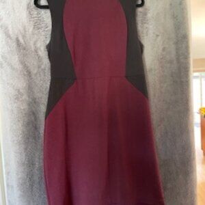 Burgundy and Black Fitted Dress